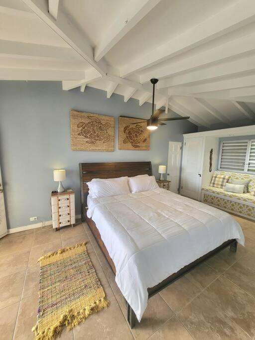 Villa Caribbean Splendor With Million Dollar Views à Christiansted Extérieur photo